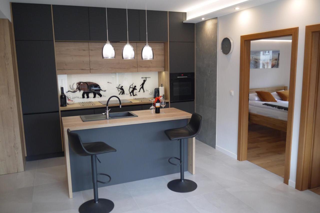 Nowy Apartament Zygmunta Premium Gliwice Ngoại thất bức ảnh